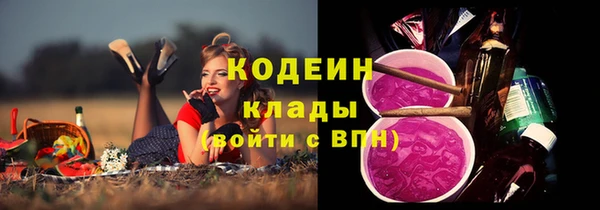 дурь Алзамай
