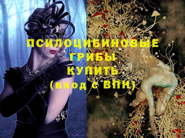 дурь Алзамай