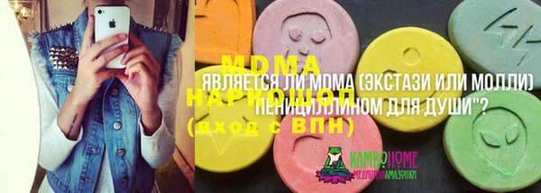 прущие грибы Абинск