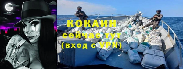 сатива Киров